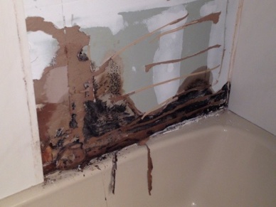 rotted-bathroom-1